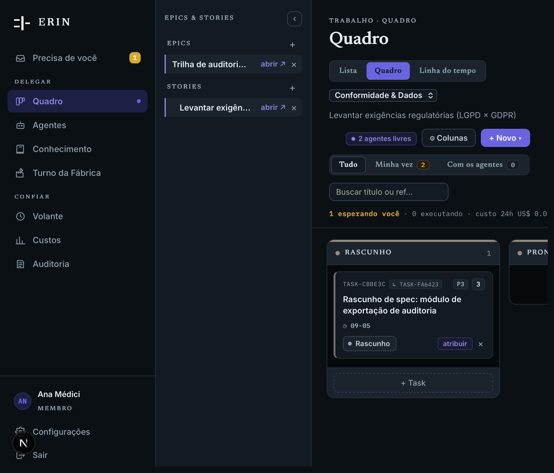 Quadro do Erin em colunas, com tasks de rascunho a pronta.